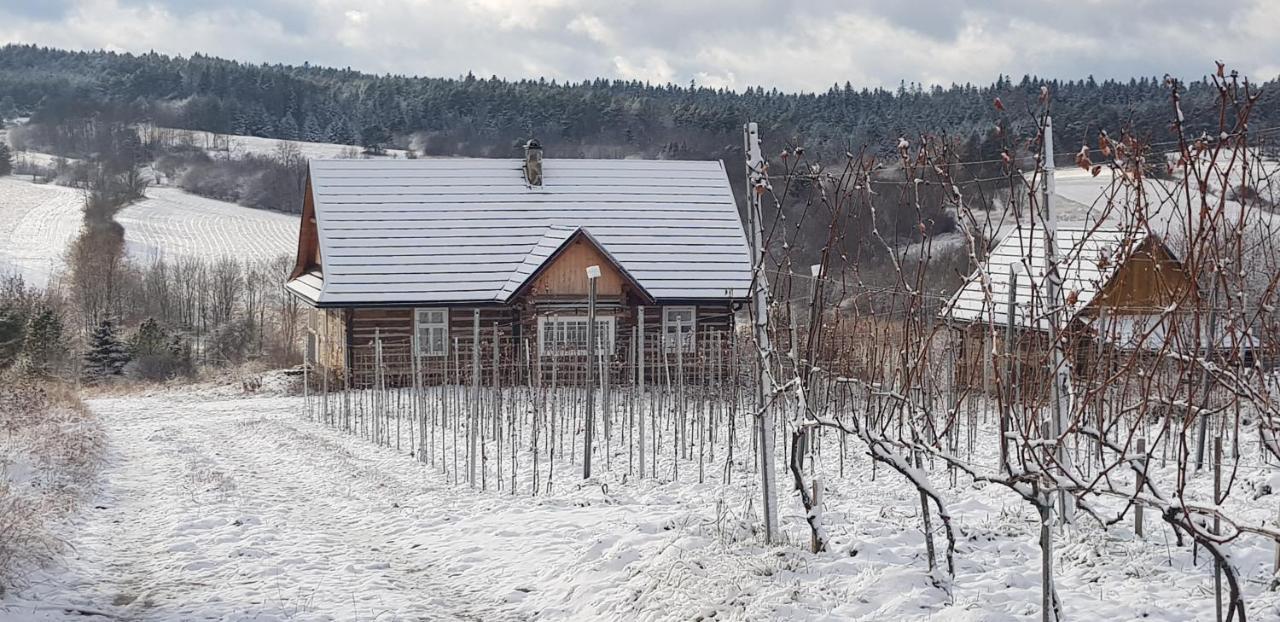 Utopia Dom Przy Winnicy Nowica Exterior photo